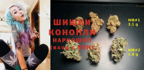 дживик Снежинск