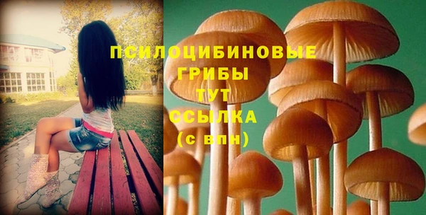 стаф Бронницы