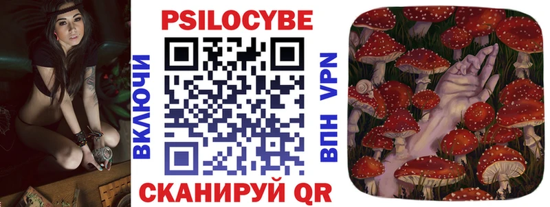 Псилоцибиновые грибы Psilocybe  дарнет шоп  Ростов 